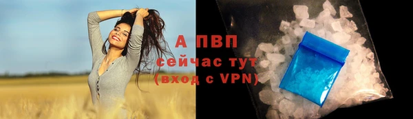 МДПВ Новокубанск