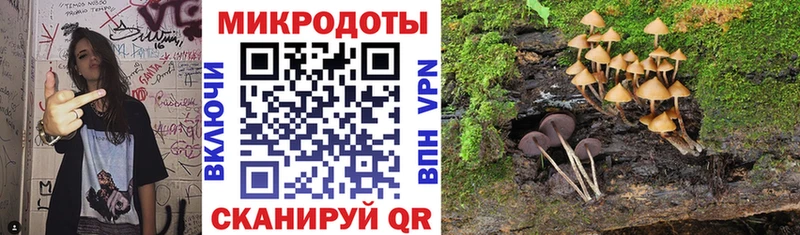 где найти   Кохма  Псилоцибиновые грибы Cubensis 