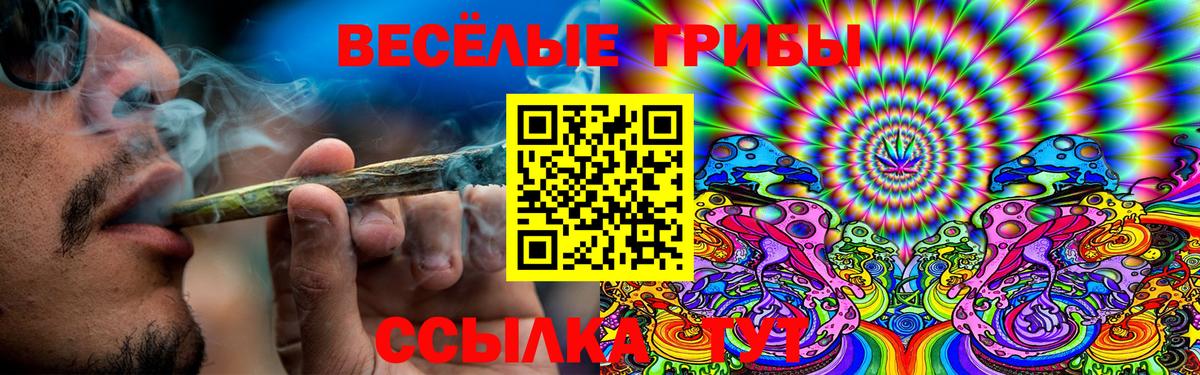Псилоцибиновые грибы GOLDEN TEACHER Кохма