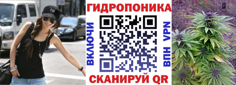 Каннабис индика  купить наркоту  кракен ССЫЛКА  Кохма 